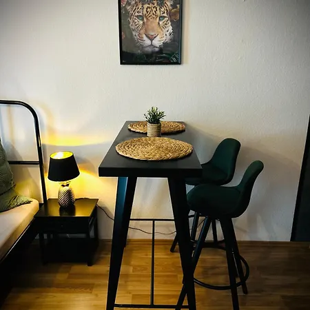 Attraktives Mit Dem Blick Auf Den Passau