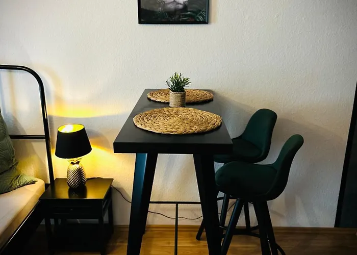 Attraktives Mit Dem Blick Auf Den Passau