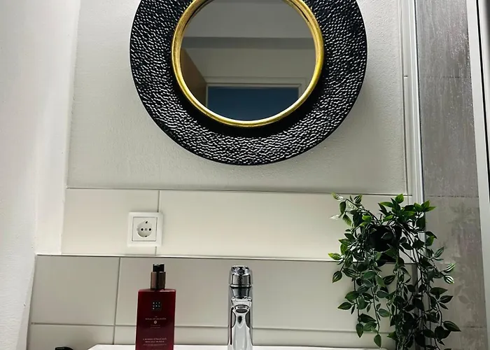 Attraktives Mit Dem Blick Auf Den Passau